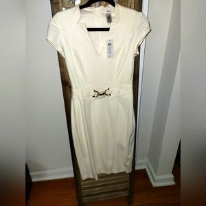 Cache brand  mid length cream color dress with gold buckle